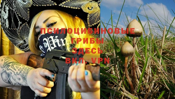 Альфа ПВП Бугульма