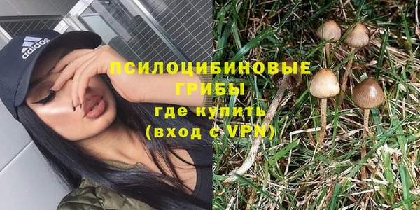 экстази Бородино