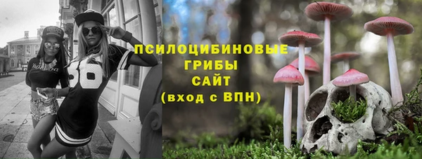 экстази Бородино